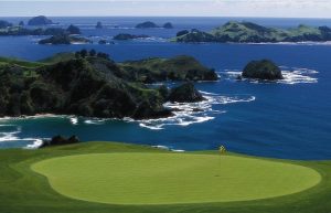 New Zealand -kauricliffs